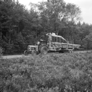 Bosbewerking, landbouwmachines, werktuigen, aanhangers, Tractors, Bestanddeelnr 253-5216