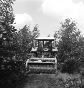 Bosbewerking, landbouwmachifnes, werktuigen, arbeiders, Tractors, Bestanddeelnr 253-5896