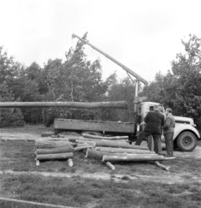 Bosbewerking, boomstammen, vrachtwagens, arbeiders, Bestanddeelnr 251-8067