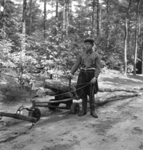 Bosbewerking, boomstammen, vervoeren, arbeiders, karren, Bestanddeelnr 251-8562