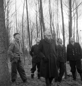 Bosbewerking, arbeiders, kijken, Bestanddeelnr 251-9047