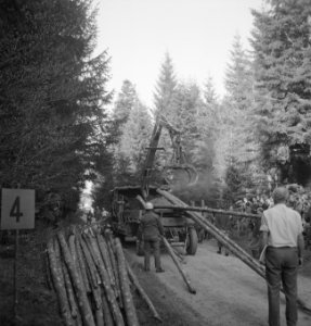 Bosbewerking, boomstammen, takelwagens, arbeiders, Bestanddeelnr 253-5152