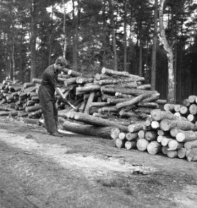 Boomstammen, houtopslag, arbeiders, gereedschappen, Bestanddeelnr 253-6173