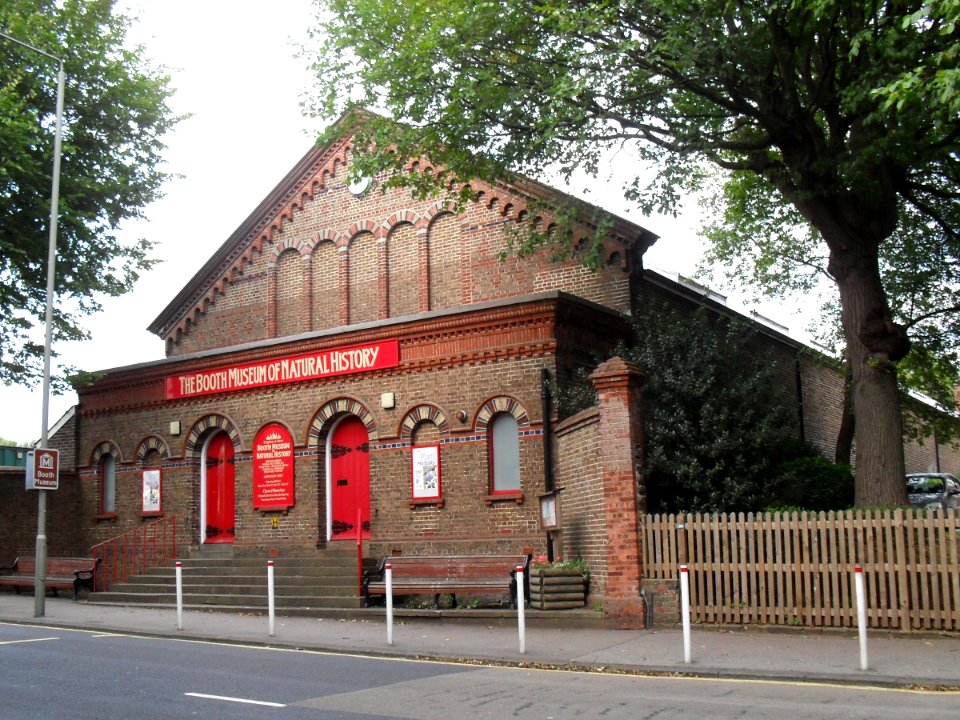Booth Museum of Natural History, 194 Dyke Road, Prestonville, Brighton (NHLE Code 1380452) (September 2010) (2)