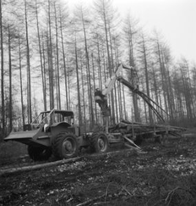 Bosbewerking, landbouwmachines, werktuigen, arbeiders, aanhangers, boomstammen, , Bestanddeelnr 253-5684