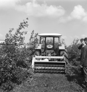 Bosbewerking, landbouwmachifnes, werktuigen, arbeiders, Tractors, Bestanddeelnr 253-5895