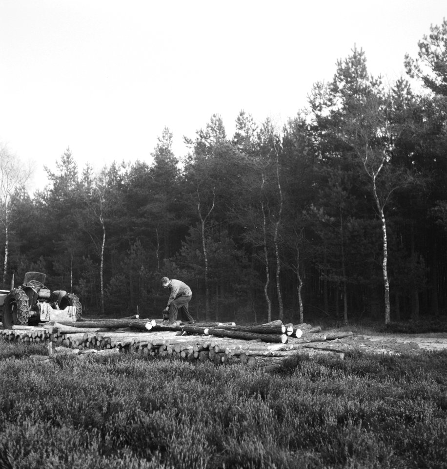 Bosbewerking, landbouwmachines, werktuigen, arbeiders, boomstammen, gereedschapp, Bestanddeelnr 253-5970