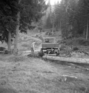 Bosbewerking, boomstammen, vrachtwagens, arbeiders, Bestanddeelnr 251-9001
