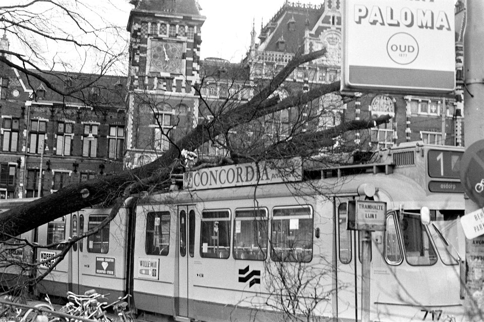Boom op tram gevallen bij Centraal Station Amsterdam door hevige storm, Bestanddeelnr 926-0181