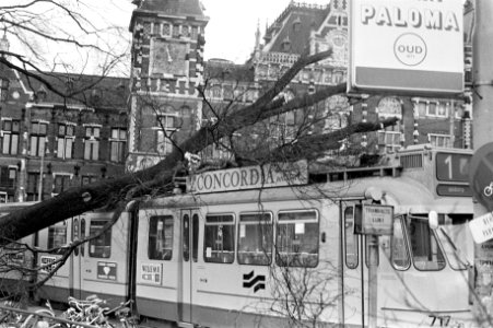 Boom op tram gevallen bij Centraal Station Amsterdam door hevige storm, Bestanddeelnr 926-0181