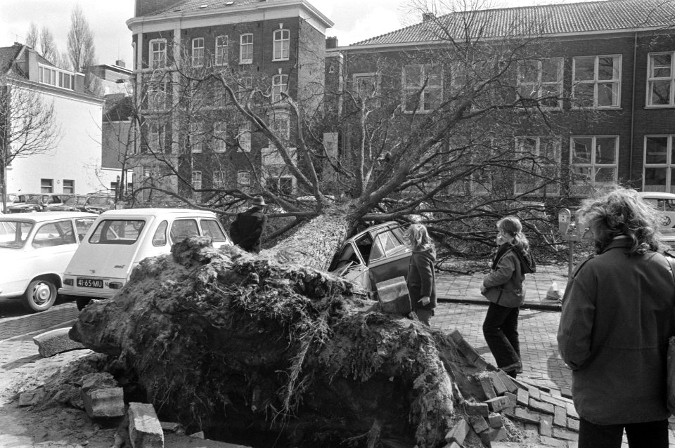 Boom omgewaaid en op auto gevallen op Prinsengracht, Amsterdam, Bestanddeelnr 926-3180