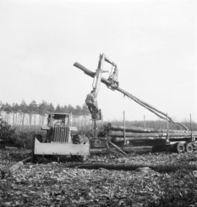 Bosbewerking, landbouwmachines, werktuigen, arbeiders, boomstammen, aanhangers, , Bestanddeelnr 253-5680