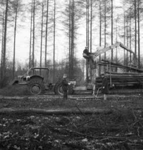 Bosbewerking, arbeiders, landbouwmachines, werktuigen, Bestanddeelnr 253-5736