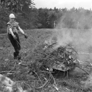 Bosbewerking, arbeiders, helmen, takken, struiken, Bestanddeelnr 251-9555