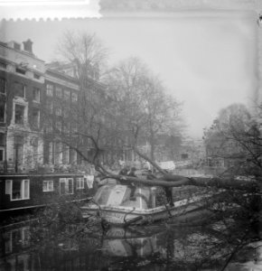 Boom op rondvaartboot gevallen, Bestanddeelnr 910-7935