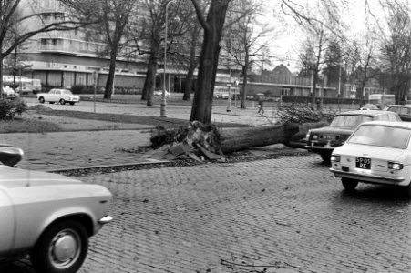 Boom op auto gevallen in Amsterdam door zware storm, Bestanddeelnr 926-0185