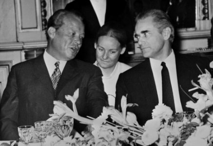 Bondskanselier Willy Brandt is in Parijs voor bespreking met president Pompidou , Bestanddeelnr 924-2093