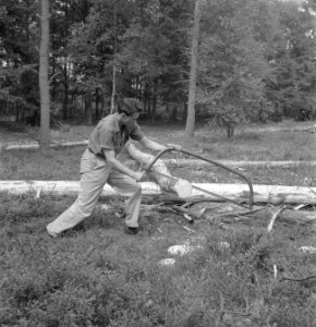 Bosbewerking, arbeiders, gereedschappen, zagen, Bestanddeelnr 251-7864