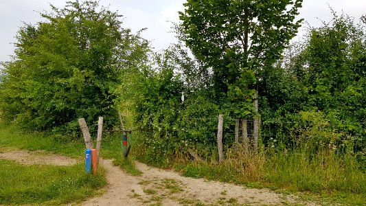 Bommerig-wegkruis Geulbeemdenvoetpad-Voetpad Op de Batsch (2)
