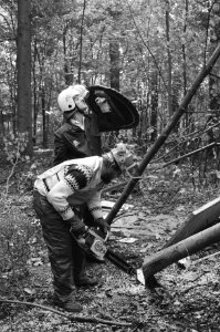 Bomen worden omgezaagd onder bescherming van de Mobiele Eenheid, Bestanddeelnr 932-3412
