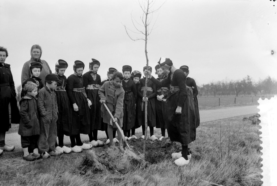 Boomplantdag te Staphorst Ambonees meisje geholpen door Staphorster meisje aan , Bestanddeelnr 912-2961