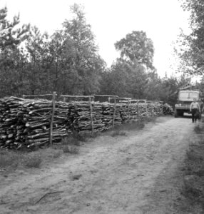 Boomstammen, arbeiders, bosbewerking, houtopslag, Bestanddeelnr 253-6041