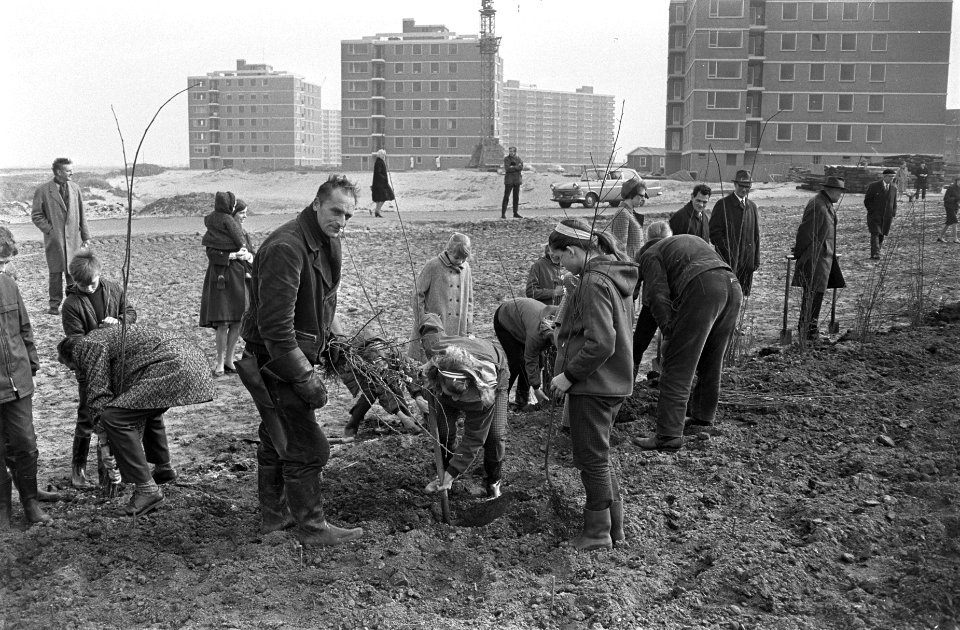 Boomplantdag door leerlingen van scholen in Amsterdam-Noord aan de Ilperveldstra, Bestanddeelnr 920-1775