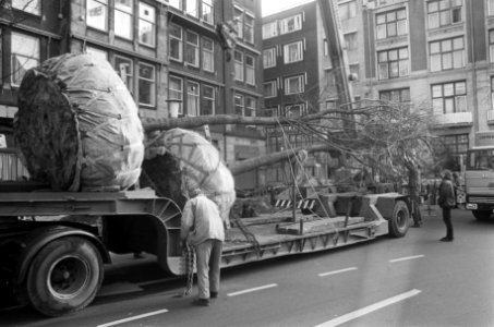 Bomen geplant op Dam in Amsterdam op initiatief van het comite Groene Hart o, Bestanddeelnr 928-2673