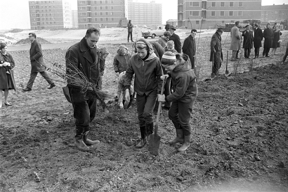 Boomplantdag door leerlingen van scholen in Amsterdam-Noord aan de Ilperveldstra, Bestanddeelnr 920-1778