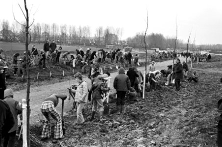 Boomplantdag in Amsterdam Slotermeer kinderen planten boompjes, Bestanddeelnr 927-8139