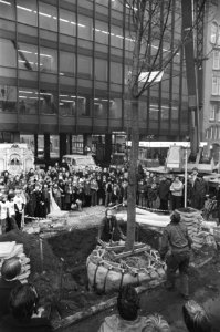 Bomen geplant op Weesperplein in Amsterdam na voltooiing metro de eerste boom o, Bestanddeelnr 929-4921