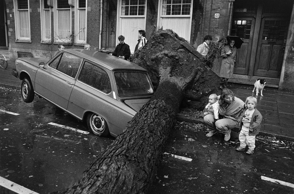 Bomen waaien om bij eerste herfststorm boom op auto in De Lairessestraat, Bestanddeelnr 933-7920