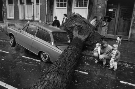 Bomen waaien om bij eerste herfststorm boom op auto in De Lairessestraat, Bestanddeelnr 933-7920