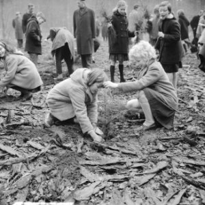 Boomplantdag voor 600 kinderen bij Bilthoven, Bestanddeelnr 913-7251