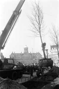 Bomen geplant op Dam in Amsterdam op initiatief van het comite Groene Hart b, Bestanddeelnr 928-2671
