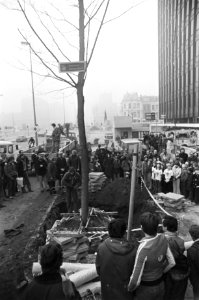 Bomen geplant op Weesperplein in Amsterdam na voltooiing metro de eerste boom o, Bestanddeelnr 929-4922