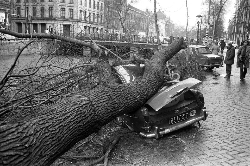 Boom omgewaaid en op auto gevallen op Herengracht, Amsterdam, Bestanddeelnr 926-3182