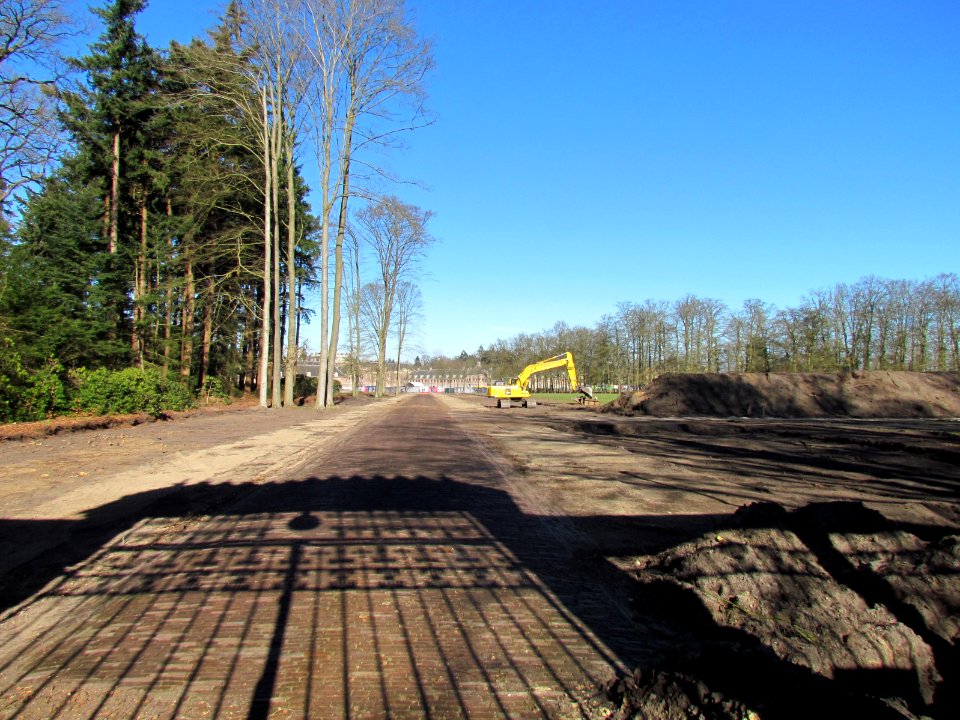 Bomenkap Het Loo 2021