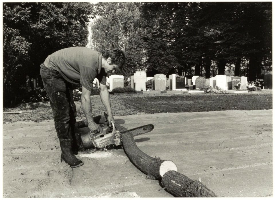 Bomen zagen op de Begraafplaats aan de Binnenweg i.v.m. de uitbreiding van de begraafplaats bij de Ned. Herv. kerk. Oriëntatie ziende naar het noorden. NL-HlmNHA 54016684