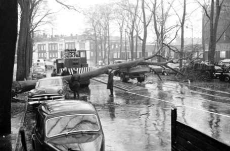 Boom omworteld door storm op J D Meierplein te Amsterdam, Bestanddeelnr 915-7536