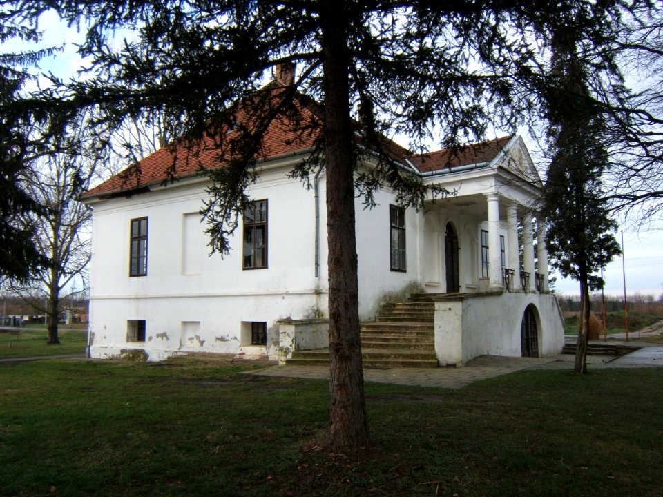 Bolhás, Tallián-kúria