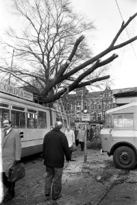 Boom op tram gevallen bij Centraal Station Amsterdam door hevige storm, Bestanddeelnr 926-0182