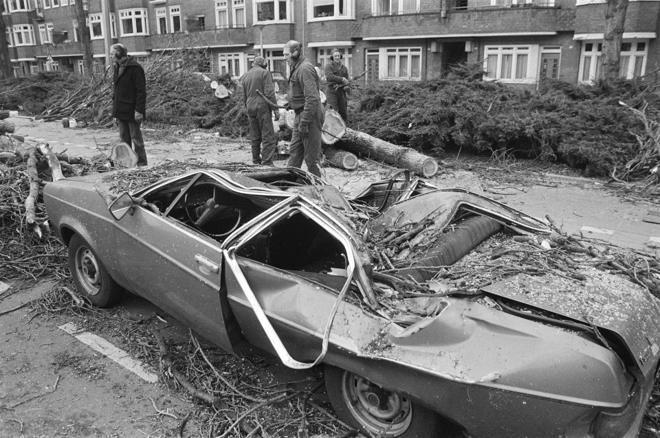 Boom vernielt auto op Rooseveltlaan Amsterdam, Bestanddeelnr 933-6096