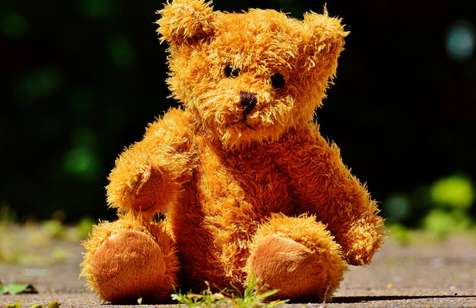 Stuffed animal teddy bear brown bear