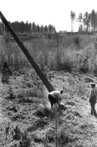 Bomen kappen, Bestanddeelnr 920-4732