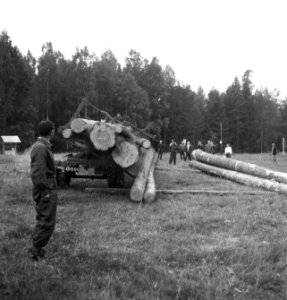 Boomstammen, werktuigen, karren, kabels, kettingen, Bestanddeelnr 253-6124