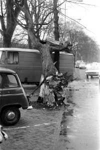 Boom op auto gevallen in Amsterdam door zware storm, Bestanddeelnr 926-0184