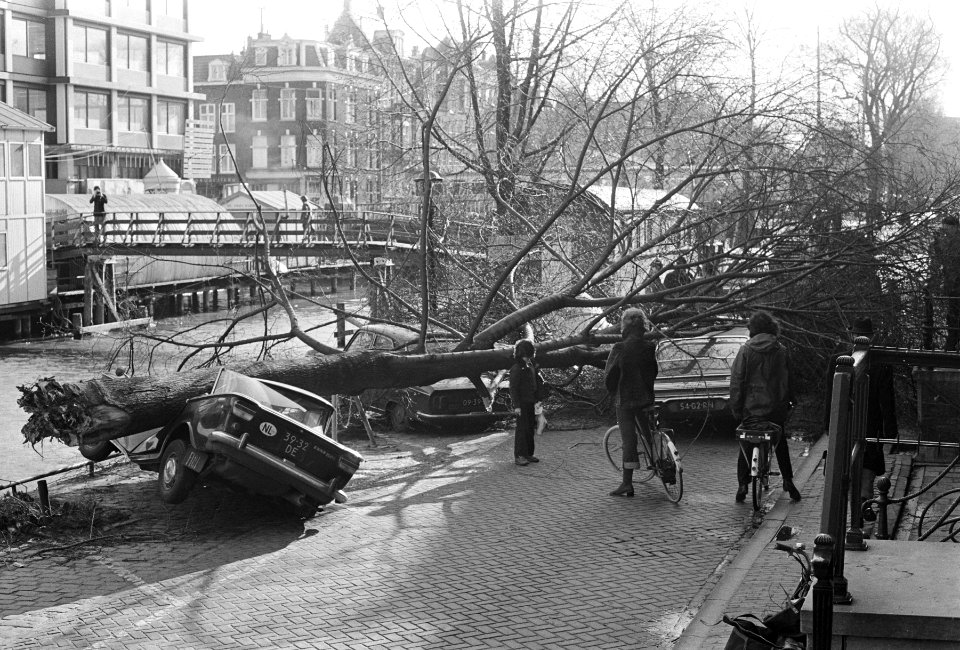 Boom omgewaaid en op auto gevallen op Prinsengracht, Amsterdam, Bestanddeelnr 926-3181