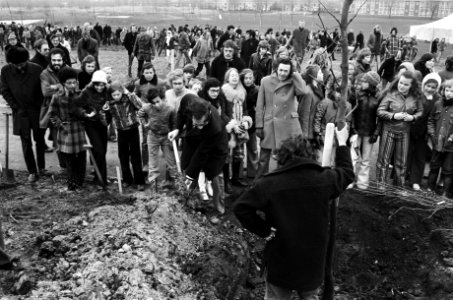 Boomplantdag in Amsterdam Slotermeer kinderen planten boompjes, Bestanddeelnr 927-8140