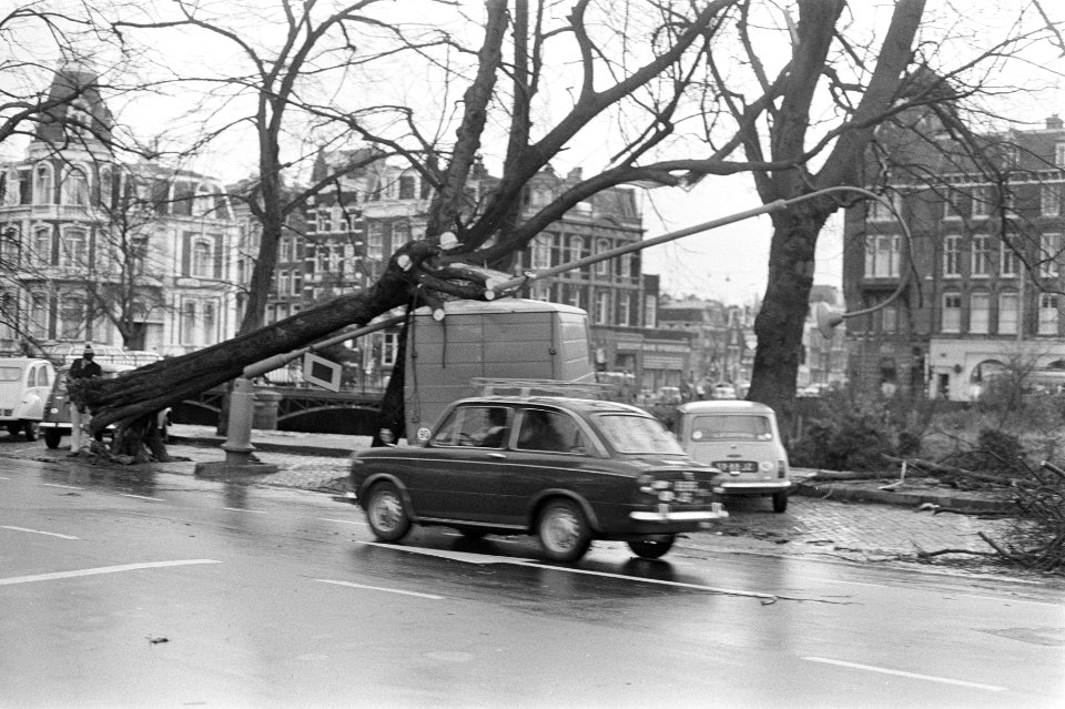 Boom omgewaaid en in Lijnbaansgracht te Amsterdam gevallen, Bestanddeelnr 926-0186